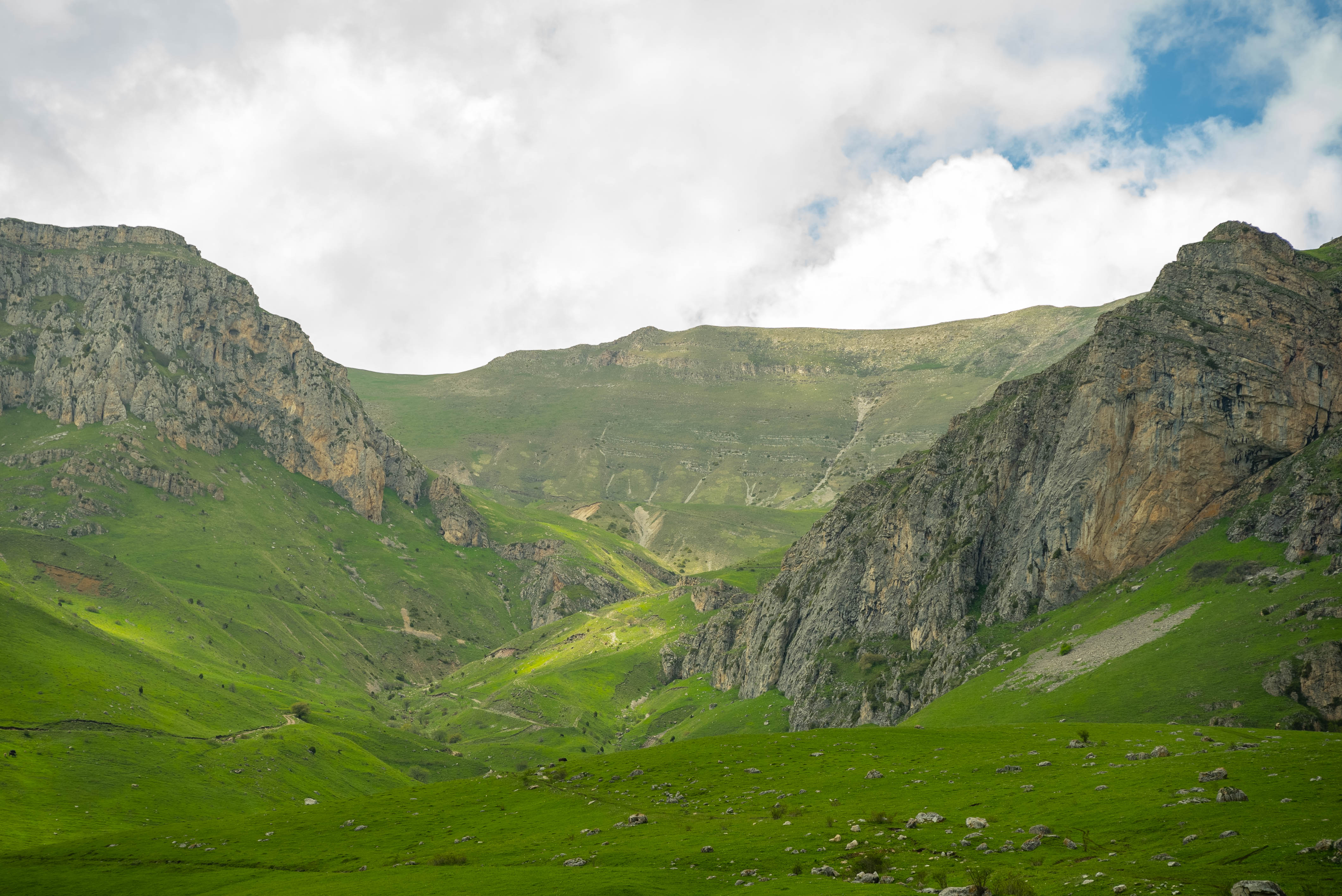 Տավուշի մարզ